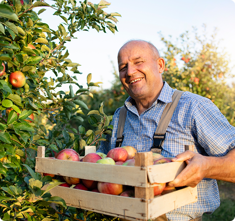 Frutera Farms 1