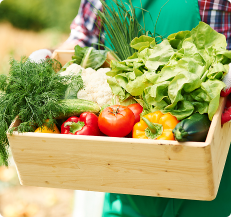 Frutera Farms 2