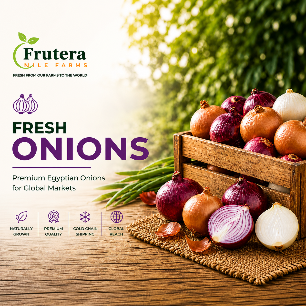 Onion