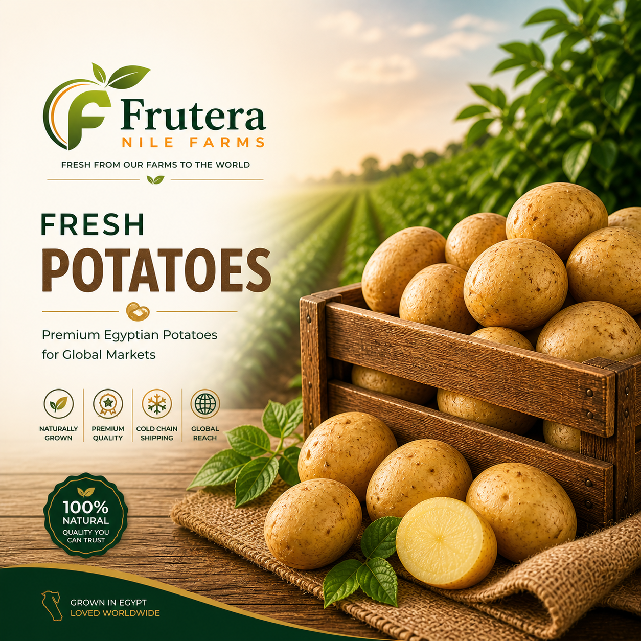 Potatoes