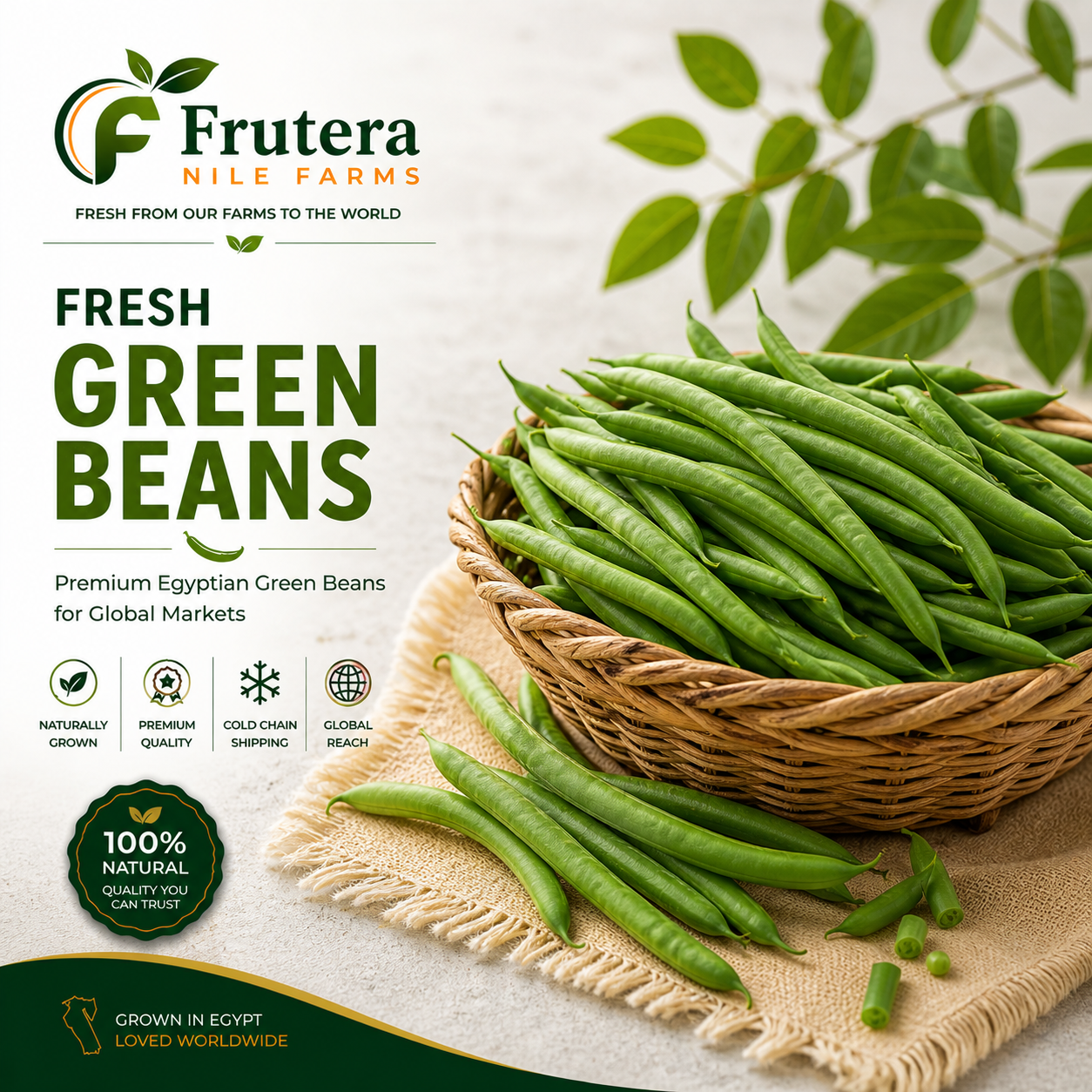 Green Beans