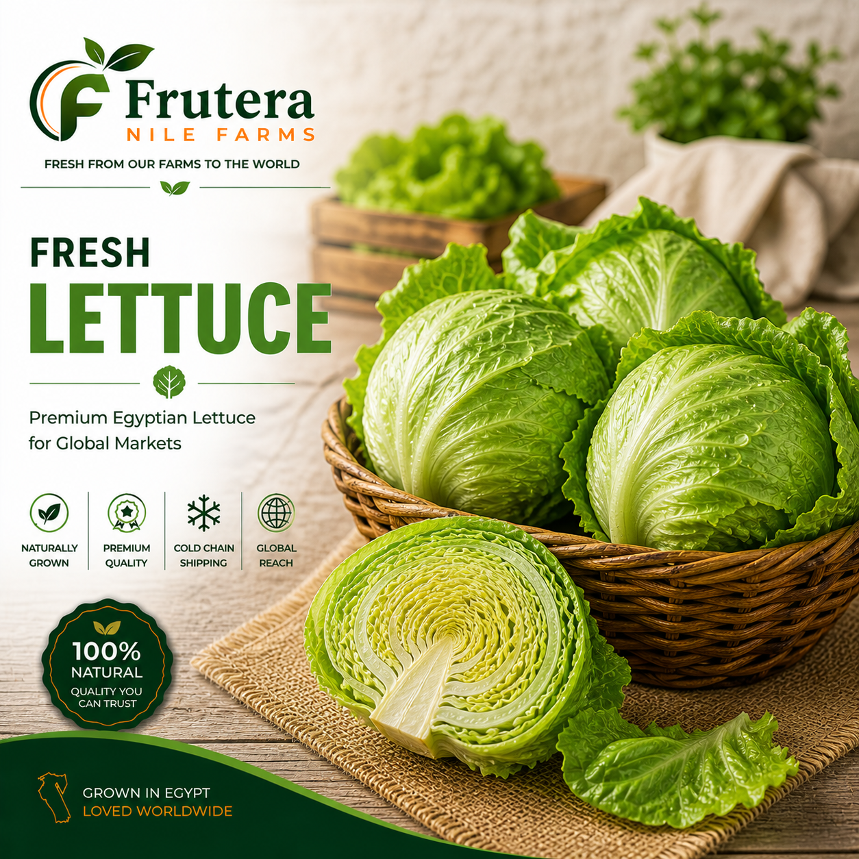 Lettuce