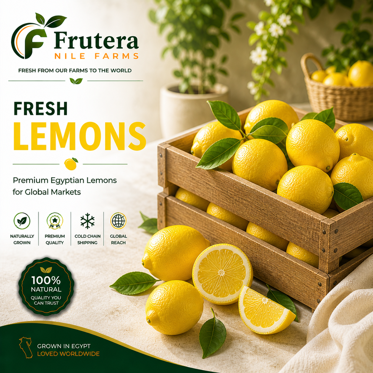 Lemon