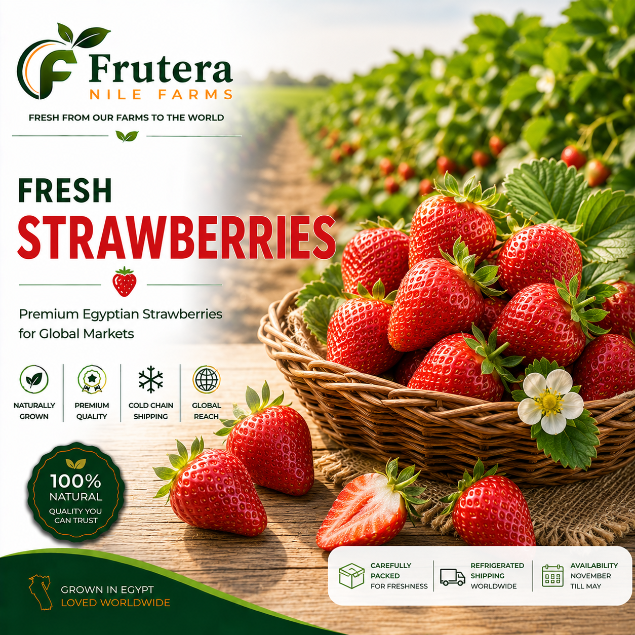 Strawberry